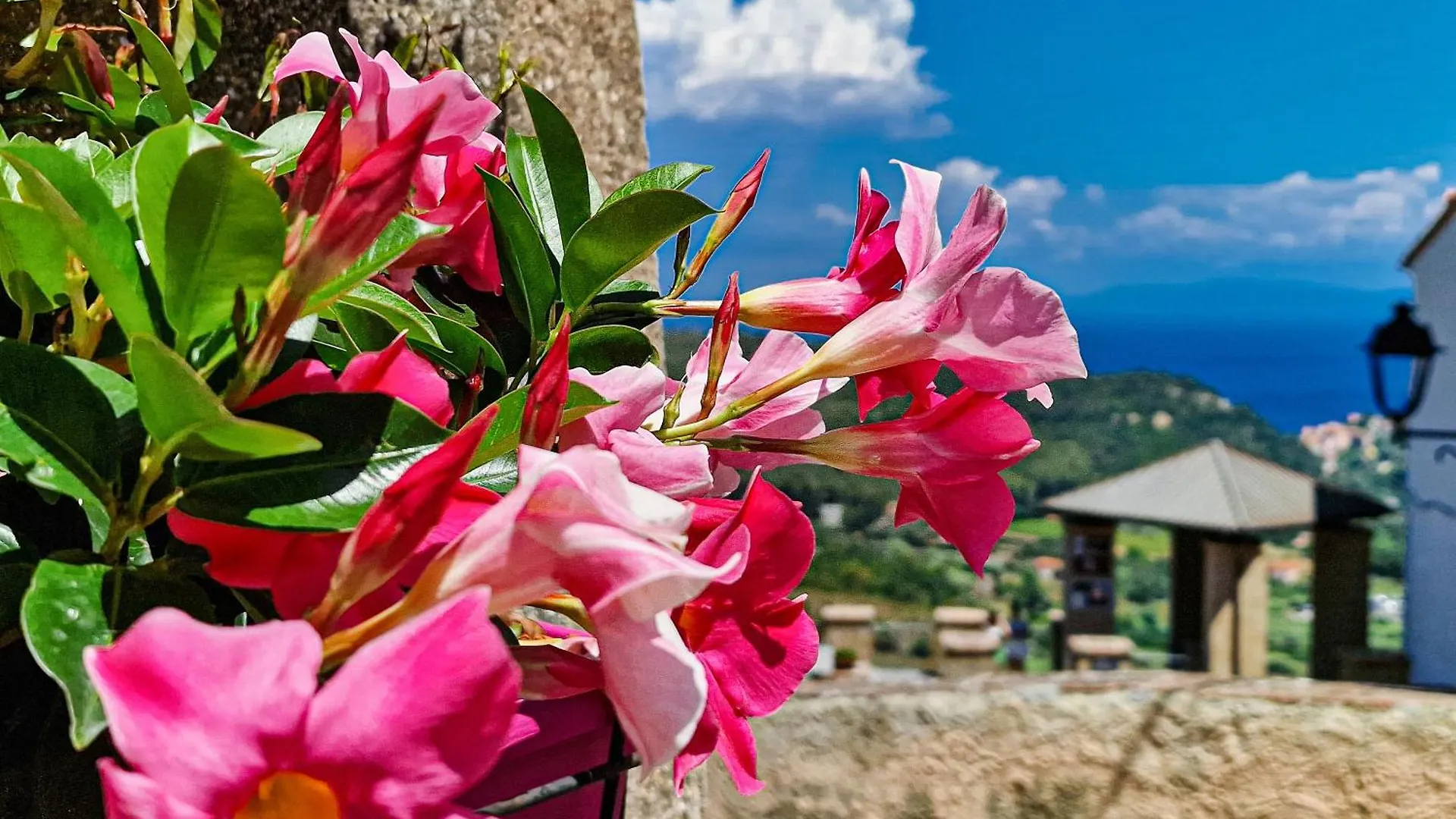 Bilo Marina Rio Elba Appartement Rio dellʼElba